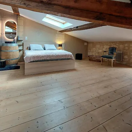 Nice In With Wi-fi Apartment Puisseguin